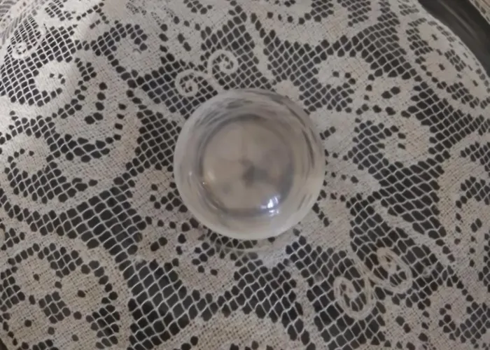 La Terrazza Di Edera 特雷维索