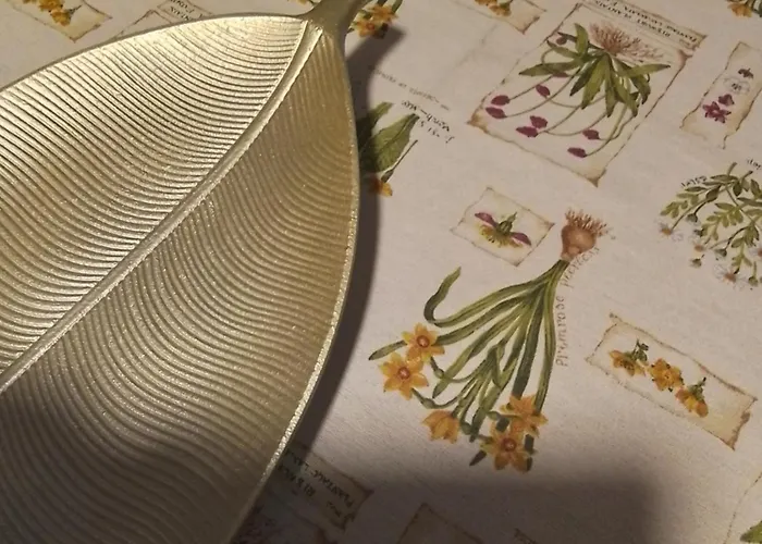 La Terrazza Di Edera Treviso