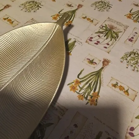 La Terrazza Di Edera トレヴィーゾ